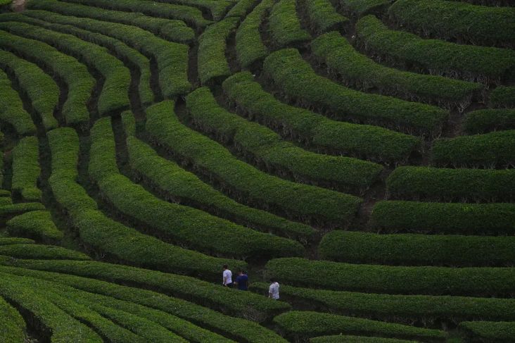 Apkasi Dorong eksekutif Daerah Optimalkan Peluang Sektor Bisnis Lokal
