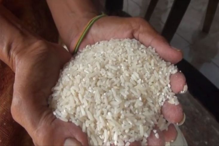 Bapanas Minta Penyerapan Beras kemudian Jagung oleh Bulog Dikawal Ketat