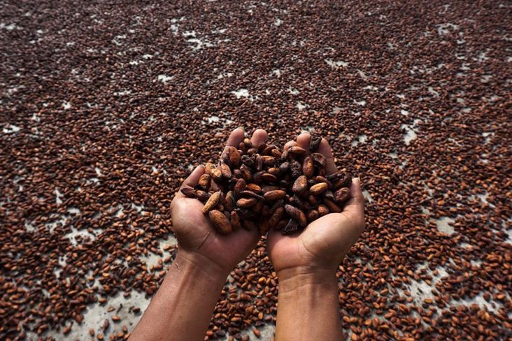 Bukan Bitcoin, Komoditas Hal ini Cetak Pertumbuhan Tertinggi dalam 2024