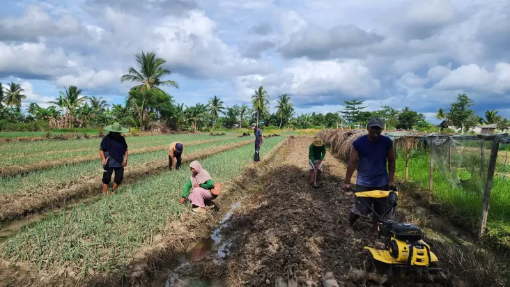 Cerita Petani pada Merauke yang mana yang disebutkan Produktivitasnya Makin Naik Berkat Proyek Pemberdayaan Klaster Usaha dari BRI