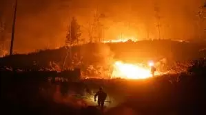 Korbankan Tesla untuk Selamatkan Porsche dari Kebakaran Los Angeles