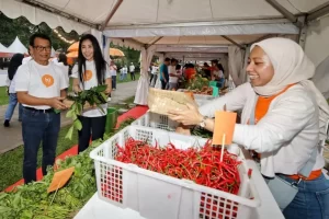 Aplikasi hi by hibank Resmi Meluncur, Solusi Digitalisasi UMKM di Satu Genggaman