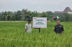 Tanah dalam Cikarang serta Apartemen di tempat Jaksel Senilai Rp22 Miliar Disita KPK