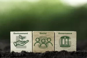 Faktor Utama Resilience dan juga Daya Saing, Ini adalah 5 Aspek Penting Sustainable Business Strategy