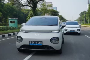 Mudik 2025 Pakai Mobil Listrik, Perhatikan Hal Penting Hal ini