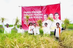 Panen Perdana, Rembuk Pemuda Keseriusan Wujudkan Swasembada Pangan