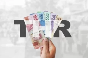 THR PNS Cair 17 Maret 2025 , eksekutif Siapkan Anggaran Rp49,9 Billion