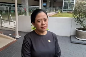 UU TNI yang Baru Disahkan DPR Digugat ke MK, Puan: Tolong Baca Dahulu Isinya