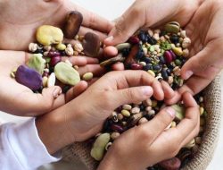 Daftar Camilan Bergizi untuk Jantung Sehat