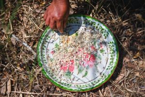 Kuliner Ekstrem Thailand: Dari Telur Semut hingga Serangga Goreng yang Terkenal Dunia