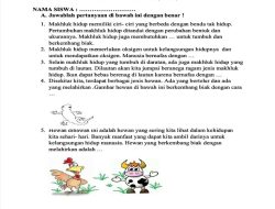 Latihan Soal dan Jawaban Bahasa Indonesia Kelas 3 SD Semester 1 untuk Persiapan PTS