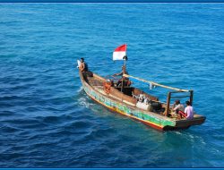 Nelayan Labuan Haji Bongkar Keuntungan Besar Tangkap Ikan Hiu