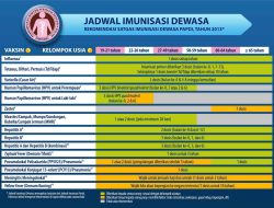 Jadwal Kapal PELNI KM Lambelu Desember 2025, Rute Terbaru