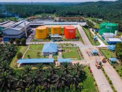 Strategi SSMS Dorong Produksi Naik Dua Digit Tahun 2026