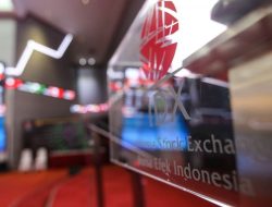 IPO 2025: Kuantitas Melambat, Fokus pada Kualitas dan Dana yang Terkumpul