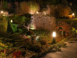 Desain Pencahayaan Taman: Tips Menata Ruang yang Indah dan Aman Malam Hari