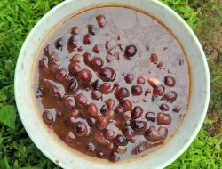 Sajian hangat dari kuah hitam