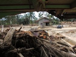 1,4 Juta Hektare Hutan Hilang, Banjir Sumatra Akibat Deforestasi