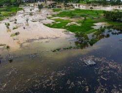 Ahli UGM: Kerusakan Hutan Pemicu Banjir di Sumatera Naik 80 Persen