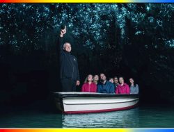 Cahaya Kecil yang Menyambut Perjalanan Kami di Waitomo, Selandia Baru