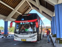 Jadwal dan Harga Tiket Bus AKAP Bali ke Jawa Rabu (17/12), Cek Sekarang!