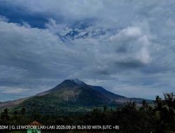 Lewotobi Alami 3 Kali Tremor Non-Harmonik dan 1 Gempa Vulkanik