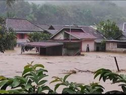7 Bencana Alam 2025, Banjir Sumatera Rebut 1.140 Jiwa