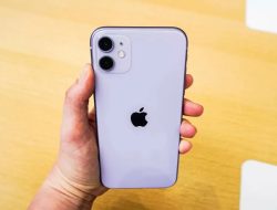 Beli iPhone 2025: iPhone 11 Bekas Paling Laku Setelah iPhone 17