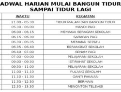 Jadwal Kapal Pelni KM Dorolonda hingga 6 Januari 2026, Tiket Jakarta-Biak Rp1,024.600