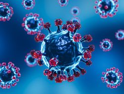 Virus Nipah Mewabah di India, Kemenkes RI Jelaskan Gejala dan Penularannya