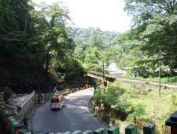 Jembatan Lembah Anai: Pemugaran dan Penghidupan Kembali