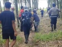 Kronologi Kades Lampung Tewas Terinjak Gajah Liar Saat Coba Halau dengan Mercon