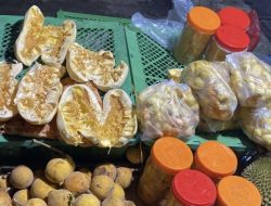 Populer Kalteng: Proyek Tahunan Ruang Terbuka Hijau Eks Disnakertrans dan Kuliner Mandai