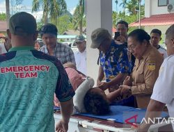 Ferry Irawan, ASN KKP yang Tersangkut dalam Kecelakaan ATR 42-500