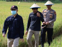 Jeritan Petani Bukit Biru Kukar: Satu Dekade Mengangkat Hasil Panen karena Jalan Tertutup