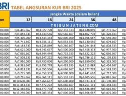 Tabel Angsuran KUR BRI 2026 di Jambi: Plafon 50 Juta hingga 200 Juta