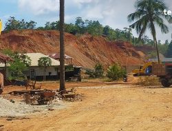 Denda Rp1,19 Triliun Belum Lunas, Tambang Perusda Kolaka Dihentikan