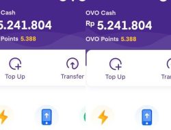 Mengapa Saldo OVO Menghilang Mendadak 3 Januari 2026?