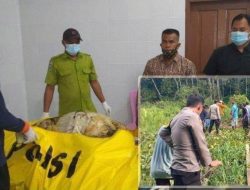 Hasil Autopsi: Pelajar SMAN 9 Bengkulu Masih Hidup Saat Tenggelam di Sungai Kualo