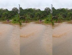Tiga RT di Mentawir Terendam, 10 Titik Rawan Banjir di IKN, Upaya OIKN dan PU
