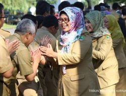 Kucing Warisi Rp3,9 Triliun, THR PNS dan TNI Cair di Ramadan