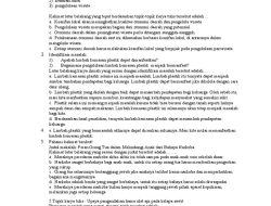 10 Soal HOTS Penyusunan Karya Ilmiah Bahasa Indonesia Kelas 11 SMA Semester 2