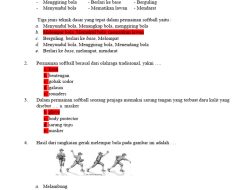 Jenis Makanan Kaya Karbohidrat? Soal PJOK Kelas 11 SMA Semester 2