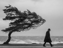 Mengenal EDFAT: Kunci Jadi Fotografer Profesional