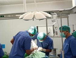 Pemkab Ketapang Gelar Operasi Gratis Cleft Lip dan Palate 2026