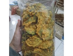 Wati raih omzet Rp3,5 juta dari keripik kenikir di dapur sederhana