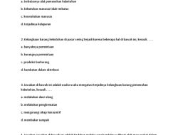 Soal HOTS IPS Kelas 8 SMP Bab 4 Pembangunan Ekonomi Indonesia