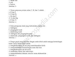 Soal Ujian Biologi SMA Kelas 11 Semester 2 dengan Kunci Jawaban