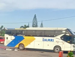 Jadwal Bus DAMRI Jakarta ke Bandara 2026, Lihat Titik Berangkat