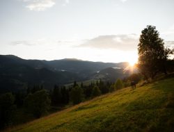 50 Kata-Kata Selamat Siang Inspiratif untuk Semangat Beraktivitas